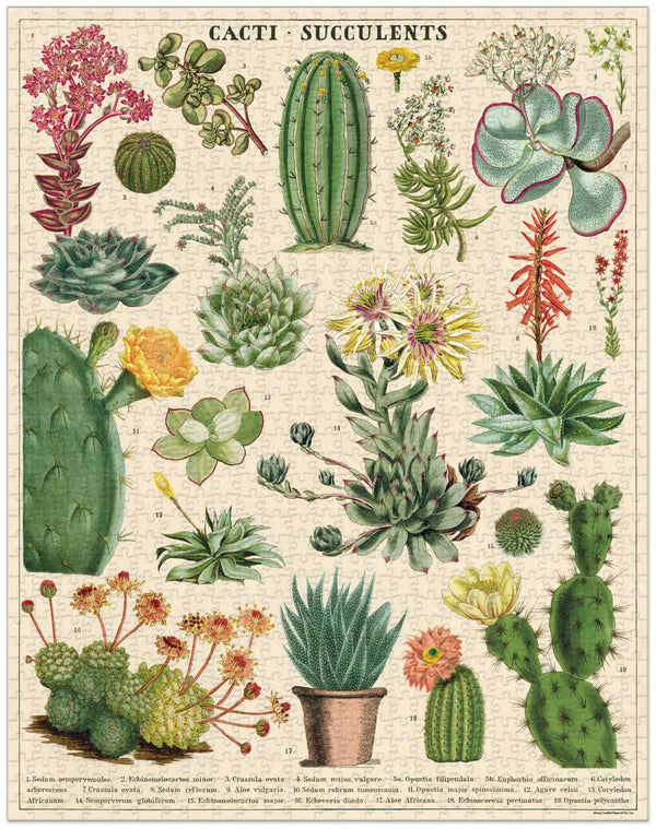 Vintage Puzzle - Cacti and Succulents