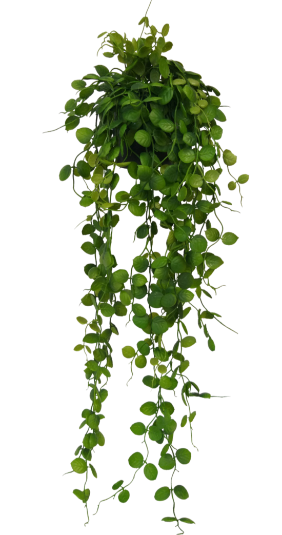 Saxifraga Vetchi Plant - Artificial