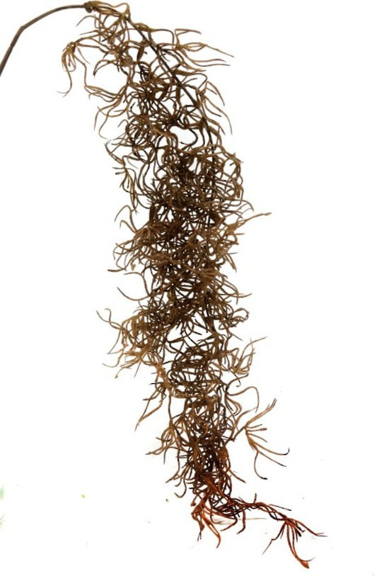 Artificial Flower - Dried Spanish Moss