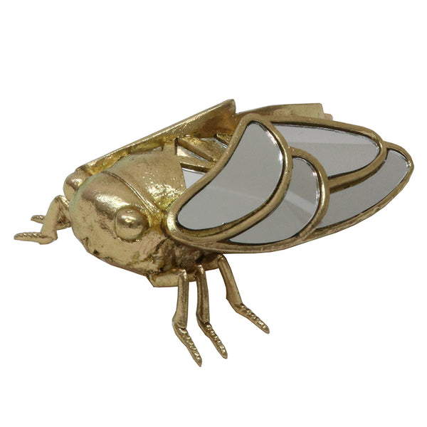 Mirror Cicada