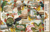 Puzzle - 1000pc Birds & Postcards