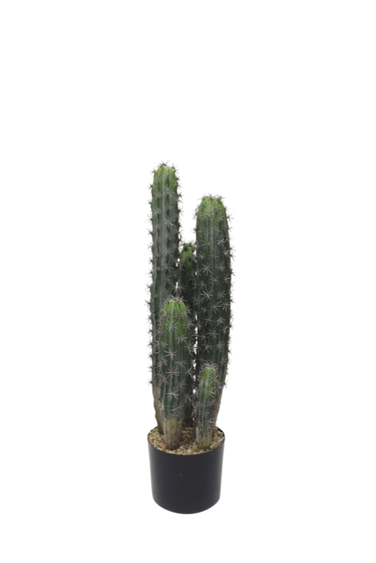 Cactus Potted Plant Artificial