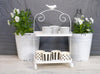 Double Display or Cake Stand - White Songbird