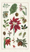 Tea Towel - Botanica