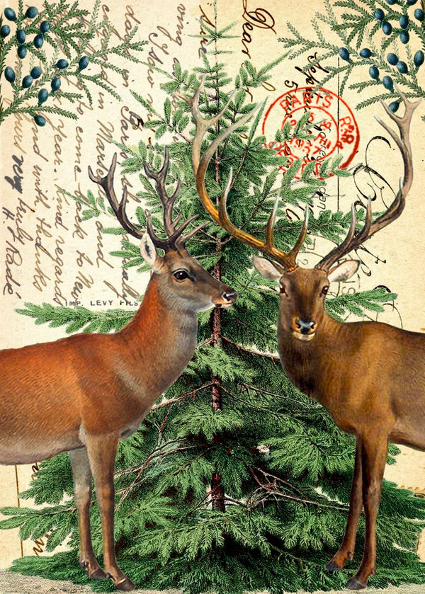 Christmas - Card - Stags and Christmas Tree